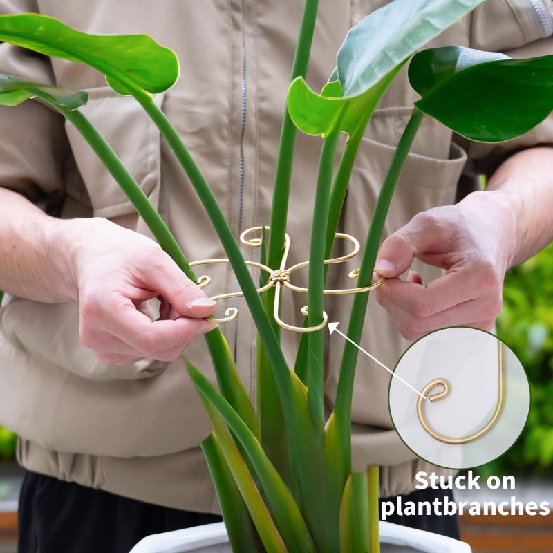 خطاف دعم جذع نبات Monstera 5 قطع من Goooxim - مثبت جذعي معدني متين مقاس 6.5 * 6.5 بوصة لنباتات Monstera وصبار هيكل السمكة - حامل أوراق حماية لطيف - سهل التركيب - مجموعة من 5 قطع - Image 4